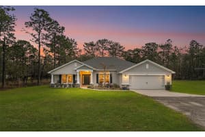 15250 BARRON COURT, BROOKSVILLE, FL 34614 - MLS#MFRTB8485489