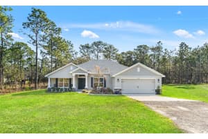15250 BARRON COURT, BROOKSVILLE, FL 34614 - MLS#MFRTB8485489