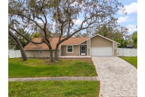 3088 Enisglen Dr, PALM HARBOR