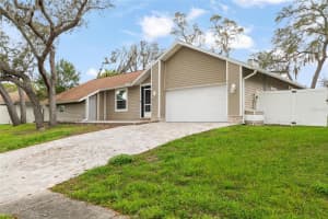 3088 ENISGLEN DRIVE, PALM HARBOR, FL 34683 - MLS#MFRTB8485535