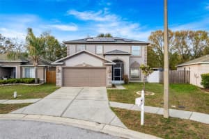 31001 MIDTOWN COURT, WESLEY CHAPEL, FL 33545 - MLS#MFRTB8485568
