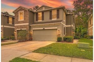 12516 STREAMDALE DRIVE, TAMPA, FL 33626 - MLS#MFRTB8485573