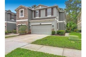12516 STREAMDALE DRIVE, TAMPA, FL 33626 - MLS#MFRTB8485573