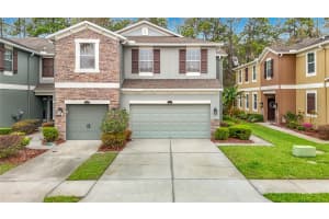 12516 STREAMDALE DRIVE, TAMPA, FL 33626 - MLS#MFRTB8485573