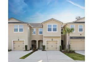 14205 DAMSELFLY DRIVE, TAMPA, FL 33625 - MLS#MFRTB8485604