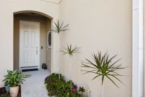 14205 DAMSELFLY DRIVE, TAMPA, FL 33625 - MLS#MFRTB8485604