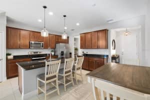 14205 DAMSELFLY DRIVE, TAMPA, FL 33625 - MLS#MFRTB8485604