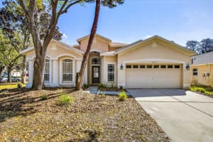 6002 Martinglade Pl, LITHIA