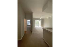 17112 CARRINGTON PARK DRIVE, TAMPA, FL 33647 - MLS#MFRTB8485673