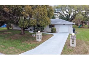 215 MORNINGSIDE DRIVE, VALRICO, FL 33594 - MLS#MFRTB8485689