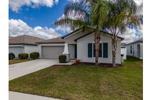 14146 COVERT GREEN, RIVERVIEW, FL 33579 - MLS#MFRTB8485702