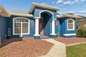 11017 AUDIE BROOK DRIVE, SPRING HILL, FL 34608 - MLS#MFRTB8485714