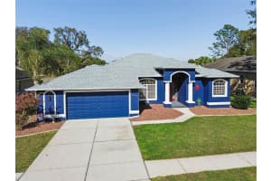 11017 AUDIE BROOK DRIVE, SPRING HILL, FL 34608 - MLS#MFRTB8485714