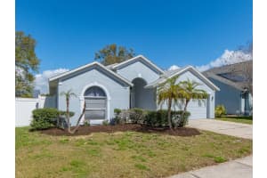 809 DUVAL COURT, SAFETY HARBOR, FL 34695 - MLS#MFRTB8485718