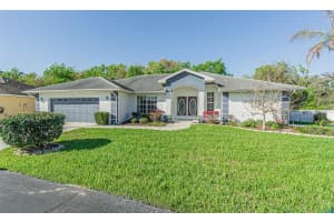 10504 MOSHIE LANE, SAN ANTONIO, FL 33576 - MLS#MFRTB8485729