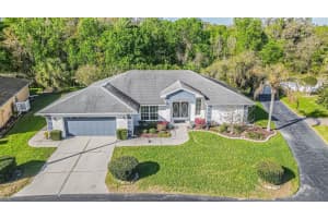 10504 MOSHIE LANE, SAN ANTONIO, FL 33576 - MLS#MFRTB8485729