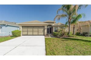29407 SNAP HOOK DRIVE, SAN ANTONIO, FL 33576 - MLS#MFRTB8485731