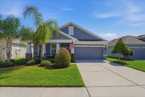 13326 Palmera Vista Dr, RIVERVIEW