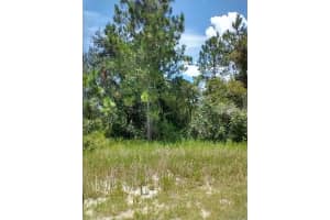 1322 TALLAHASSEE COURT, KISSIMMEE, FL 34759 - MLS#MFRTB8485738