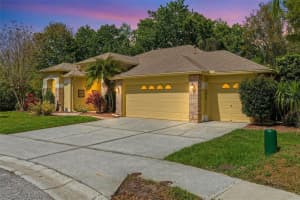 8817 WAVYEDGE COURT, TRINITY, FL 34655 - MLS#MFRTB8485750