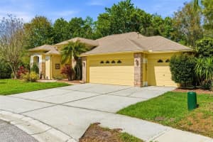 8817 WAVYEDGE COURT, TRINITY, FL 34655 - MLS#MFRTB8485750