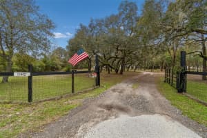 13402 PEACE BOULEVARD, SPRING HILL, FL 34610 - MLS#MFRTB8485752
