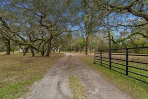 13402 PEACE BOULEVARD, SPRING HILL, FL 34610 - MLS#MFRTB8485752