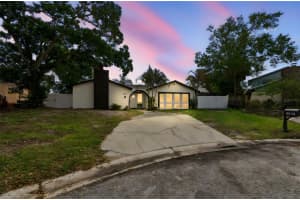 7403 Spring Ct, TAMPA