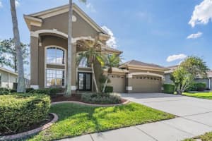 23626 ABERCORN LANE, LAND O LAKES, FL 34639 - MLS#MFRTB8485797