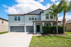 6342 Cobble Bliss St, ZEPHYRHILLS