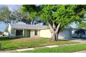 4171 102ND PLACE, CLEARWATER, FL 33762 - MLS#MFRTB8485808