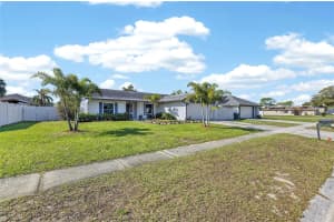 6704 ROSEMARY DRIVE, TAMPA, FL 33625 - MLS#MFRTB8485813