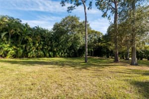 1647 HOBBIT ROAD, DUNEDIN, FL 34698 - MLS#MFRTB8485857