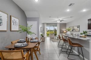 33083 FROSTED CLOVER WAY, WESLEY CHAPEL, FL 33545 - MLS#MFRTB8485860