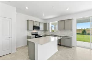 11228 SYCAMORE GLEN LOOP, THONOTOSASSA, FL 33592 - MLS#MFRTB8485895