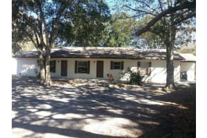 182 MARGIE STREET, PALM HARBOR, FL 34683 - MLS#MFRTB8485898