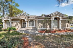 5838 AUDUBON MANOR BOULEVARD, LITHIA, FL 33547 - MLS#MFRTB8485912