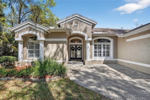 5838 AUDUBON MANOR BOULEVARD, LITHIA, FL 33547 - MLS#MFRTB8485912