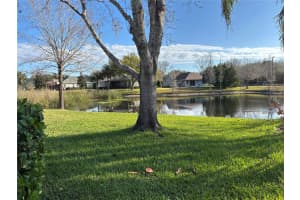8214 LAGERFELD DRIVE, LAND O LAKES, FL 34637 - MLS#MFRTB8485924