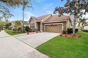 8214 LAGERFELD DRIVE, LAND O LAKES, FL 34637 - MLS#MFRTB8485924