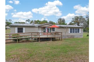 37043 TRILBY ROAD, DADE CITY, FL 33523 - MLS#MFRTB8485929