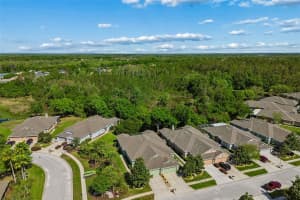 7533 DEER PATH LANE, LAND O LAKES, FL 34637 - MLS#MFRTB8485932