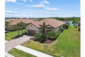 11318 JUGLANS DRIVE, ODESSA, FL 33556 - MLS#MFRTB8485937