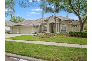 17923 ARBOR GREENE DRIVE, TAMPA, FL 33647 - MLS#MFRTB8485942