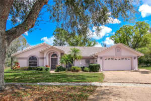 1003 CALLE ROSA PLACE, SUN CITY CENTER, FL 33573 - MLS#MFRTB8485955