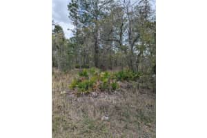 0 MAZETTE ROAD, WEEKI WACHEE, FL 34613 - MLS#MFRTB8485970