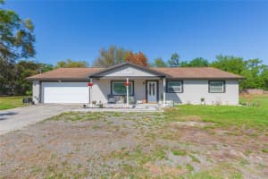 7251 OLD PASCO ROAD, WESLEY CHAPEL, FL 33544 - MLS#MFRTB8486002