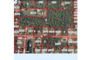 0 GANNET AVENUE, WEEKI WACHEE, FL 34613 - MLS#MFRTB8486007