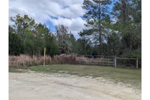 0 GANNET AVENUE, WEEKI WACHEE, FL 34613 - MLS#MFRTB8486007