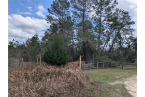 0 GANNET AVENUE, WEEKI WACHEE, FL 34613 - MLS#MFRTB8486007